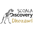 Scoala Discovery deschide Scoala Discovery deschide
